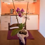 Apartmán Apartmants Bogdanic Krk Ii Krk Town