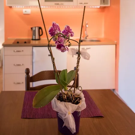 Appartement Apartmants Bogdanic Krk Ii Krk Town